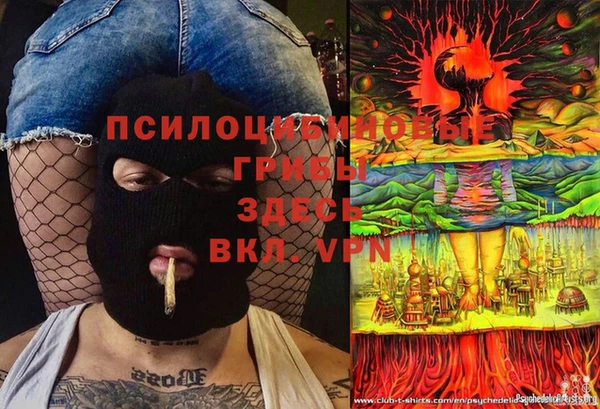 индика Алексеевка