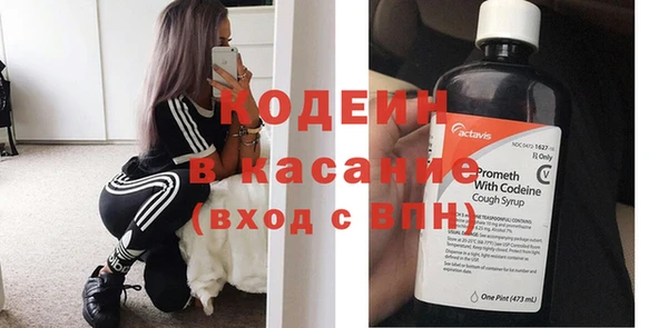 индика Алексеевка
