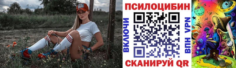Галлюциногенные грибы Psilocybe  где продают наркотики  Истра 